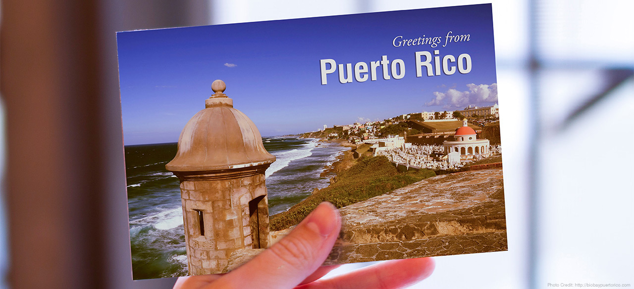 Our Summer Postcard Series Continues With a Letter from Rebecca Selch ’17 Hand holds a postcard that reads "Greetings from Puerto Rico"