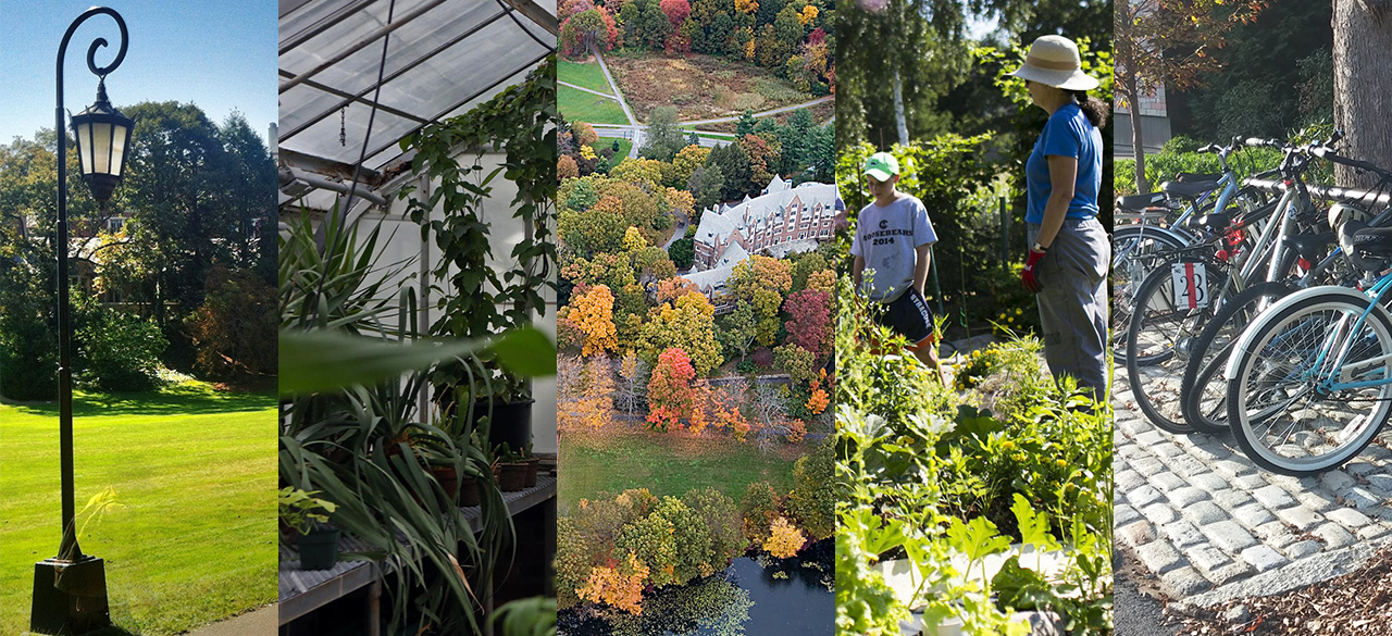 Wellesley Advisory Committee Announces Draft Sustainability Plan Five photo panels depicting sustainability initiatives at Wellesley.