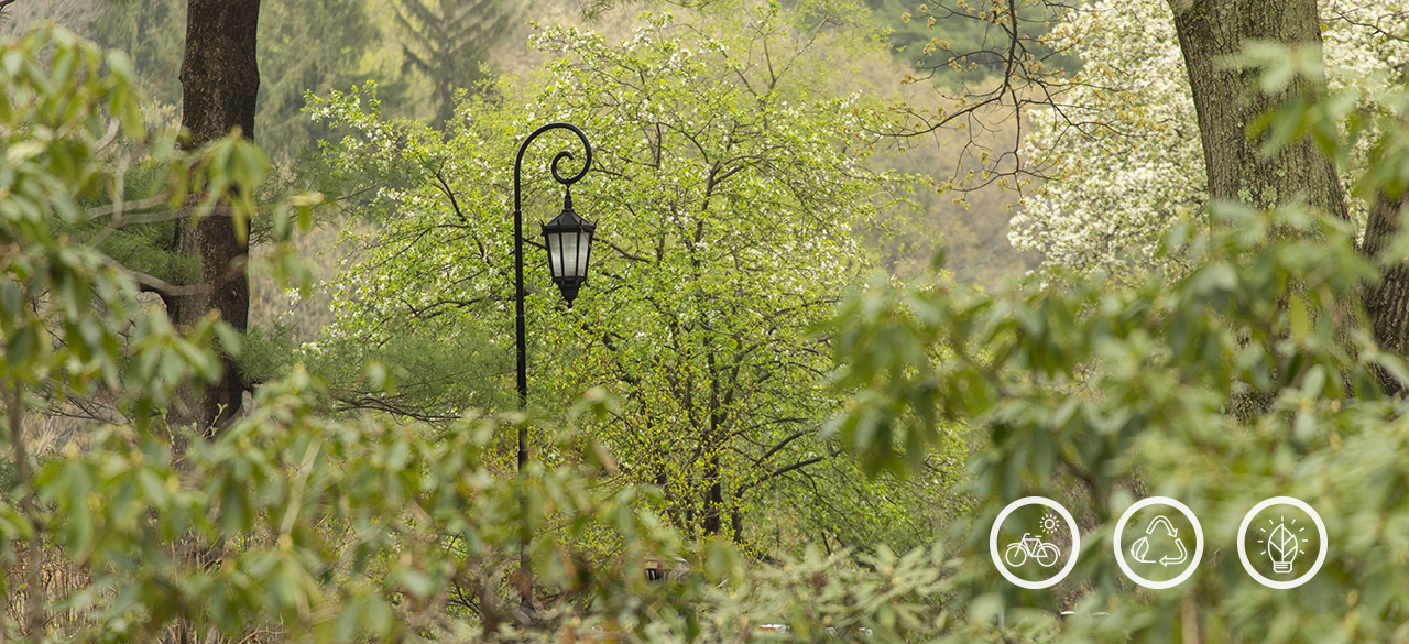 Newly Approved Sustainability Plan Will Help Ensure a Greener Future One of Wellesley's iconic lampposts amid campus greenery