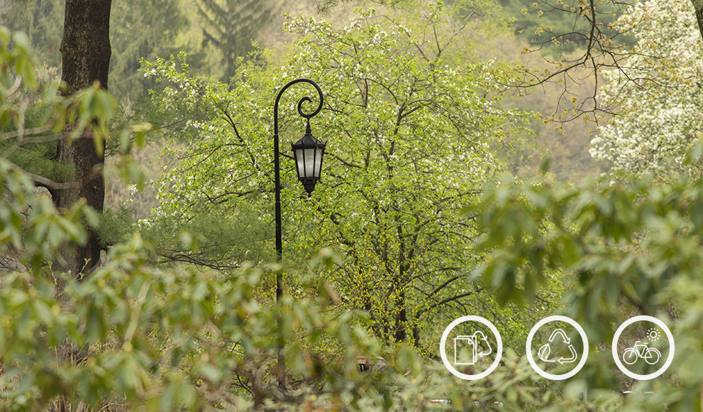 Newly Approved Sustainability Plan Will Help Ensure a Greener Future One of Wellesley's iconic lampposts amid campus greenery
