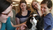 Students visit with a therapy dog during reading period.