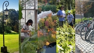 Wellesley Advisory Committee Announces Draft Sustainability Plan Five photo panels depicting sustainability initiatives at Wellesley.