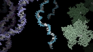 Wellesley Computer Scientists Develop DNA/RNA Sequencing Tools An illustration of DNA, RNA and protein
