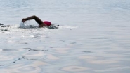 silhouette of lone swimmer near sunset