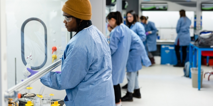 Wellesley Student and Alumnae Awarded National Science Foundation Fellowships for Doctoral Study Students work under a hood in a lab at Wellesley.