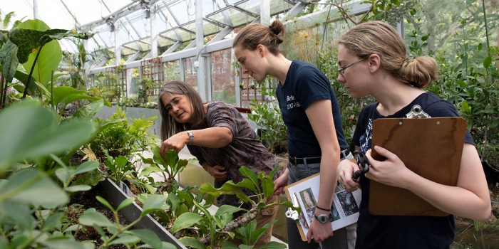 A Living Cathedral: New Global Flora Collection Celebrates Plant Diversity The botanic gardens director works with students in global flora. They are holding notebooks.