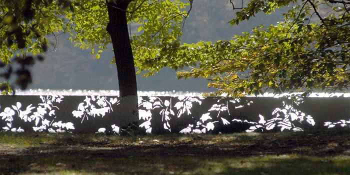 Outdoor Sculptures at Wellesley Invite You to Stop and Contemplate Untitled (Filigreed Steel Line for Wellesley College) by Robert Irwin