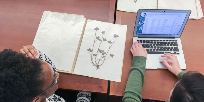 Wellesley College Archives Is a Key Teaching and Learning Resource students study plants from Wellesley's herbarium in the archives