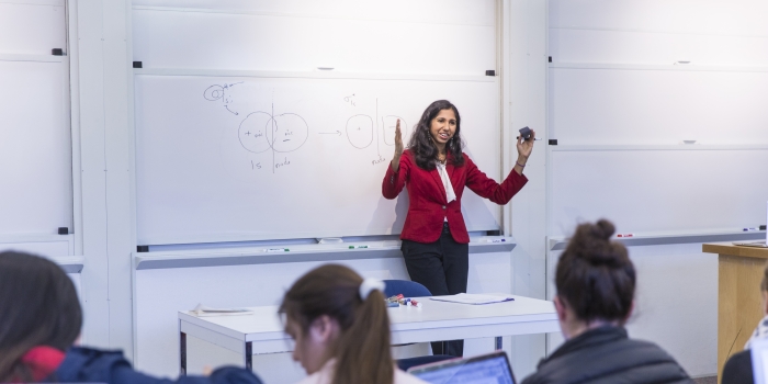 Spotlight on Teaching: Creative Chemistry Professor Mala Radhakrishnan Teaching a Chemistry Class