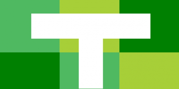 Tanner Conference Highlights Students’ Experiences Outside the Classroom The Tanner Conference word mark: A white T on a backdrop of green rectangles.
