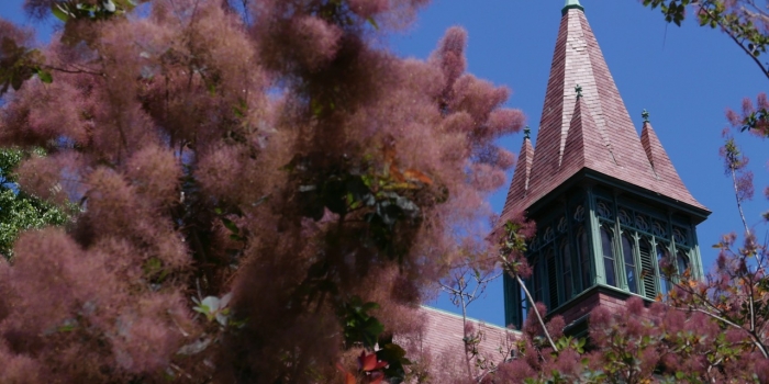 Houghton Chapel and the Multifaith Center Provide a Place for Reflection, Study, Worship, and Education #WellesleyPlaces An image of the purple roof of Houghton Chapel, framed by a purple plant.