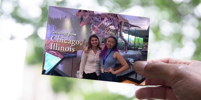 Dear Wellesley: Rebecca Arango ’21 and Renee Chen ’21 Send Greetings from Chicago Two students in a postcard standing in front of a skeleton dinosaur.