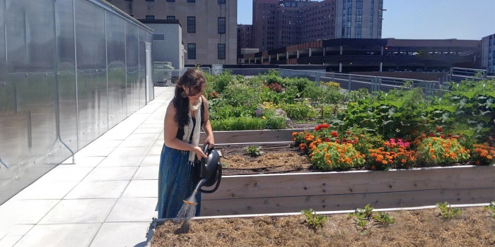 On World Food Day, Meet Caroline George ’19, Champion of Food Justice A young woman works in a rooftop garden