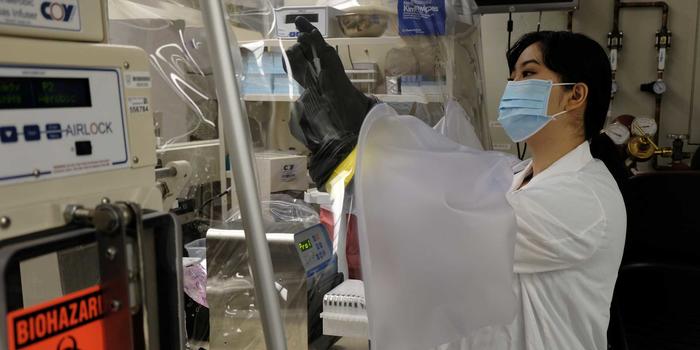 At Mayo Clinic, Wellesley Alumna Continues Senior Thesis Research on Mysteries of Vaginal Microbiomes Stephanie Song ’19 working in a lab