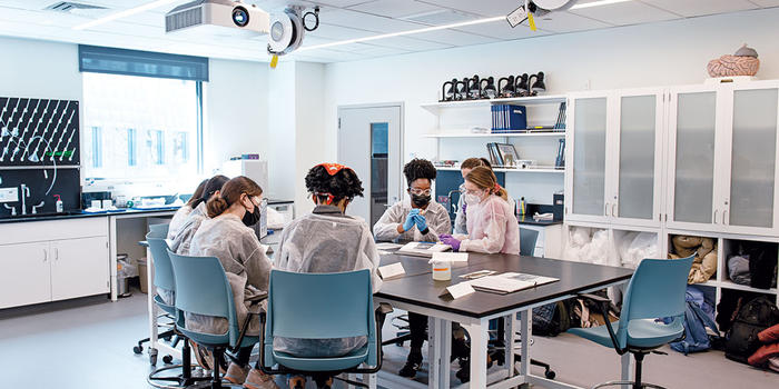 Science Made Visible: A transformed complex beckons the Wellesley community to Science Hill Neuroscience students work together in a spacious lab filled with natural light.