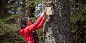 Wellesley Students Build Birdhouses from Recycled Pallets A student places a wooden birdhouse on a campus tree.