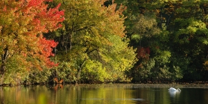 7 PERA-Tested Tips to Help You Handle Stress landscape shot of wellesley