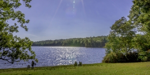 Survey Measures Wellesley Community’s Attitudes about Sustainability Lake Waban in spring.
