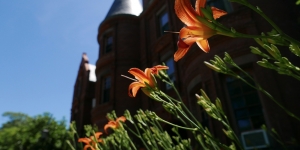 Wellesley’s Campus Finds the Light After Thursday’s Storm #WellesleyPlaces Lilies in front of Billings Hall greet the morning sun of a new day.