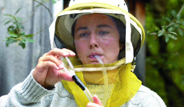 Marina Andreadis ’24 extracts a honey bee from the hive. A screen in the tube protects her from swallowing one.