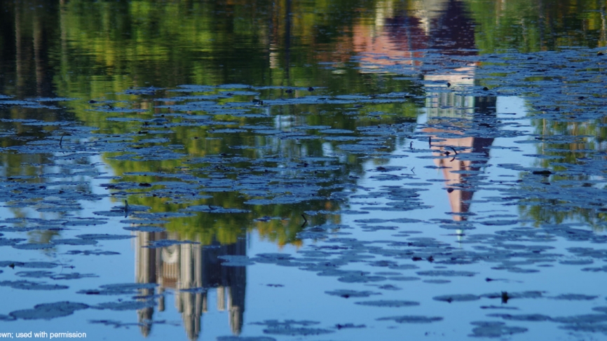 Lily pads obscure a reflection of Galen Stone Tower and the Houghton Memorial Chapel above the unseen residents of Lake Waban.