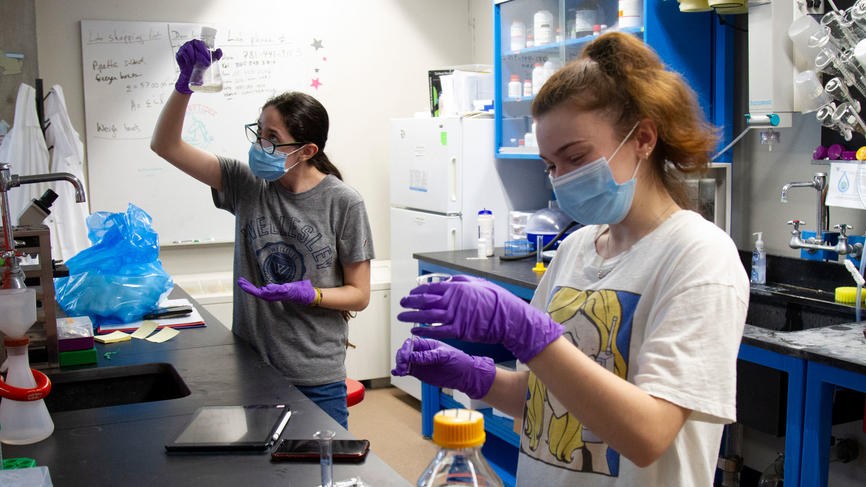 students working in a lab