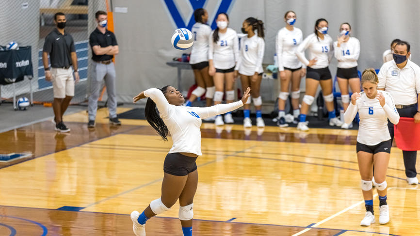 people playing volleyball