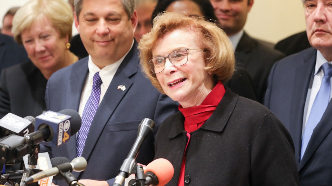 State Senator Harriette Chandler speaks to reporters at the statehouse on December 4, 2017