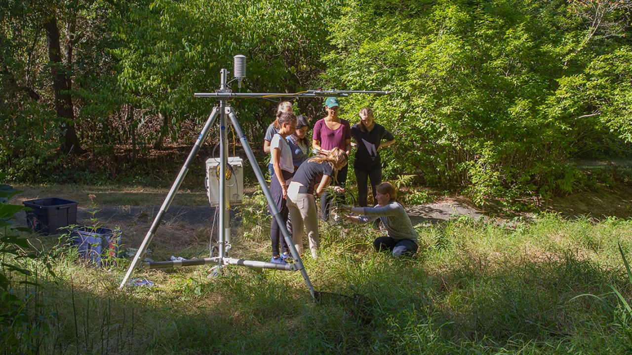 Students in BISC 307: Ecosystem Ecology collecting data from a pond