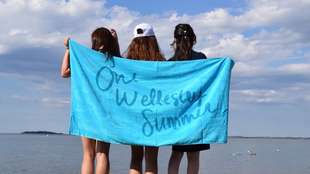 Participants in the One Wellesley Summer program enjoy a day trip to Plymouth, Mass. 