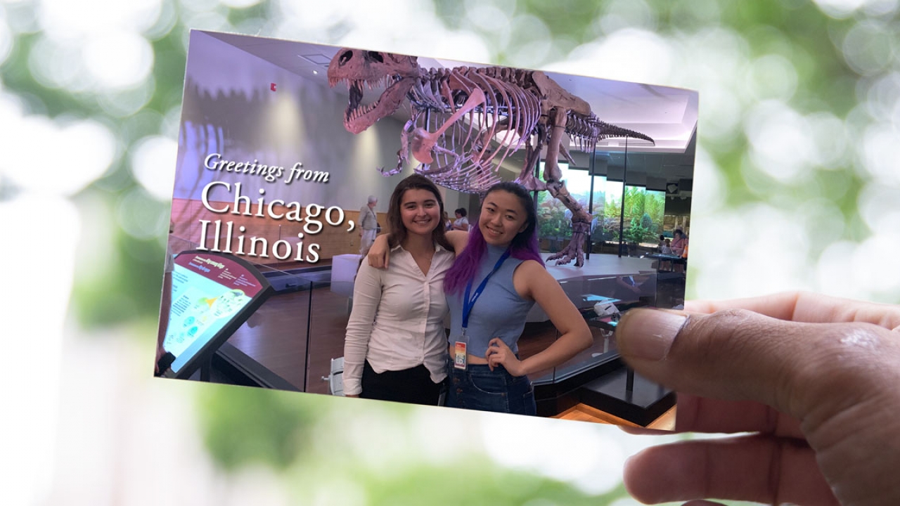 Two students in a postcard standing in front of a skeleton dinosaur.