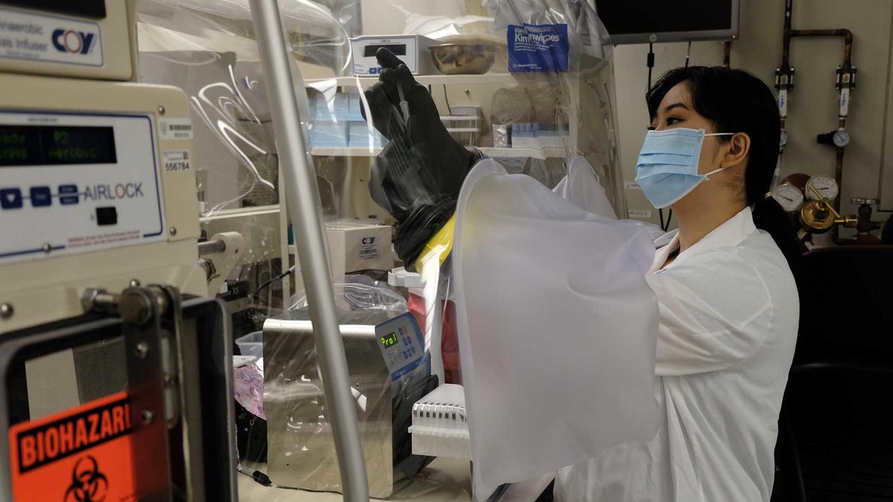 Stephanie Song ’19 working in a lab