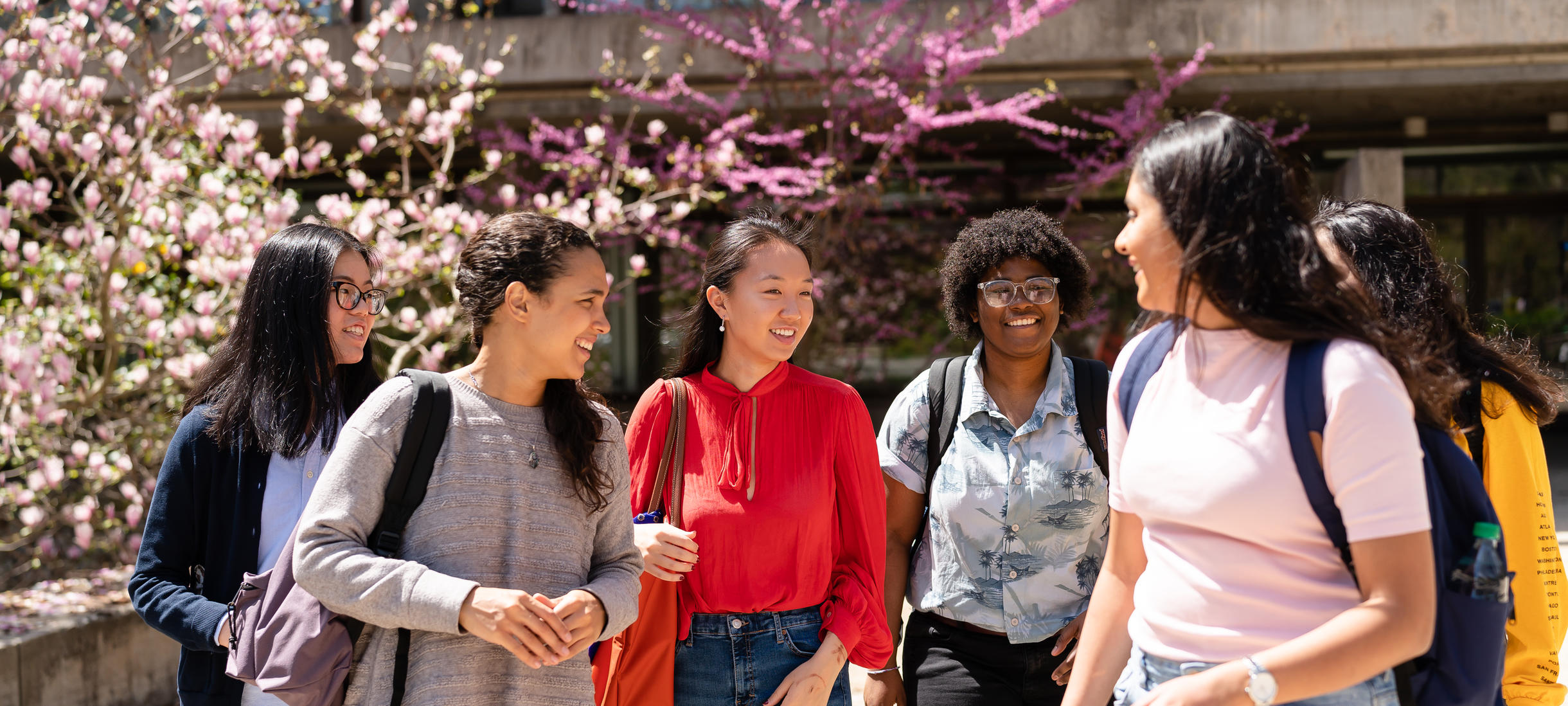 a group of students chatting in front of Clapp Library in the spring