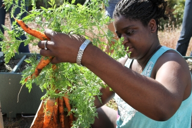 student holds up her carrot harvest
