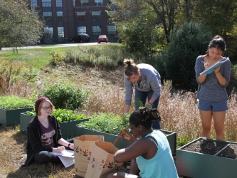 Students harvest carrots and spinach